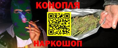 прущие грибы Ставрополь