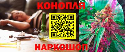 прущие грибы Ставрополь